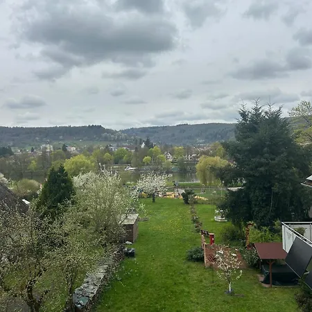 Main Nest * Lohr